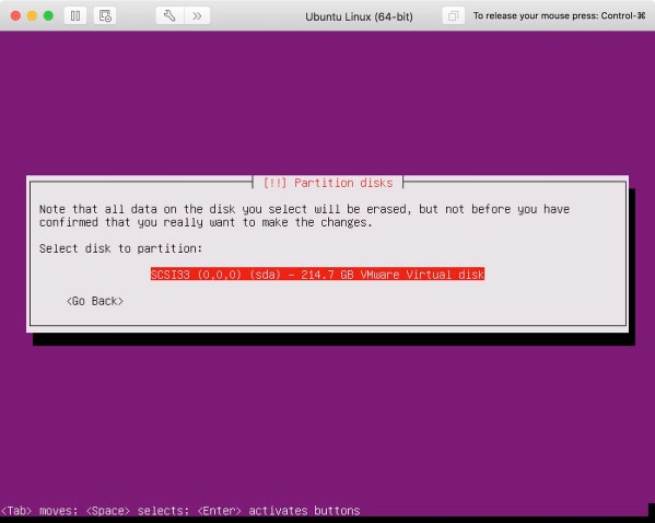 Ubuntu 10 Set Storage