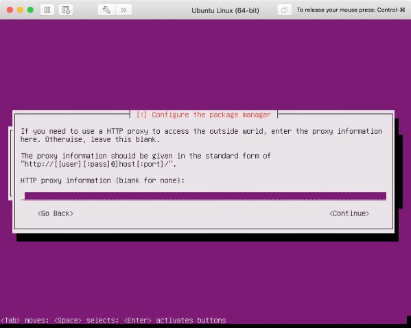Ubuntu 13 Proxy
